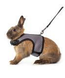 Niteangel Adjustable Soft Harness with Elastic Leash for Small Rabbits - Grey (Pack of 1) - Perfect Fit & Comfort - Buy Online on GoSupps.com