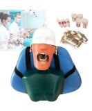 Buy Dental Phantomkopf Model - Realistic Dental Simulator with 28 Resin Teeth & 7 Pulp Cavity for Dentists & Assistants | International Shipping - Buy Online on GoSupps.com