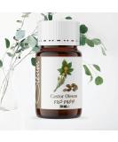 Buy Oleum Castor Oil 30ml - Pure Stone-Milled Oil for Hair Skin & Eyelashes | Nourishing & Best Quality - Buy Online on GoSupps.com