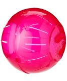 Walter Harrison's 25cm Large Plastic Running Exercise Ball for Degus & Rats - Durable and Safe - Buy Online on GoSupps.com