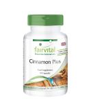 Fairvital | Cinnamon Plus - Bulk Pack for 3 Months - Vegan - HIGH Dosage - 90 Capsules - Cinnamon Extract with Chromium and zinc - Buy Online on GoSupps.com
