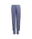adidas Girls' Tirotrack Pant in Small Orbit Violet - Stylish and Comfortable - Buy Online on GoSupps.com