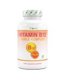 Vitamin B12 Complex - 365 Vegan Tablets | 500 g B12 + 200 g Folic Acid | Methylcobalamine Adenosylcobalamine Quatrefolic  - Buy Online on GoSupps.com