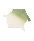Mordedor H2Origami Tortuga Oli & Carol - Juguete Ecol gico para Beb s | Env o Internacional - Buy Online on GoSupps.com