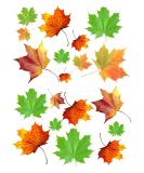 Leaves edible wafer paper cupcake cake toppers Rice Fairy Paper Decorations Party Autumn leaves leave - Buy Online on GoSupps.com