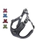 Suredoo Adjustable Dog Harness - No Pull Reflective & Breathable | XS Gray for Large Medium & Small Dogs & Puppies - Buy Online on GoSupps.com