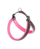 Buy Ferplast Agila Fluo 3 Ergonomic Dog Harness - Perfect Fit Soft Upholstery 37-57 cm Pink | International Shipping Available - Buy Online on GoSupps.com