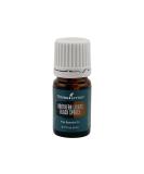 Young Living Northern Black Spruce Essential Oil 5ml - Fresh Aroma Energizing & Revitalizing - Ideal for Moisturizers - Shop Internationally - Buy Online on GoSupps.com