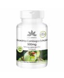 Garcinia Cambogia Extract 500mg - 100 Vegan Capsules | 60% HCA | High Dose | Herbadirekt by Warnke Vital - German Pharmacy Quality - Buy Online on GoSupps.com