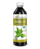 USDA Organic Guayusa Loose Leaf Extract - Natural Caffeine Energy Drink for Energy Mood & Concentration - 12oz Made in USA - Buy Online on GoSupps.com