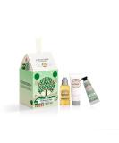 L'OCCITANE Almond Holiday Ornament Gift Set | Soft & Supple Skin | Travel-Sized Almond Shower Oil Milk & Hands - Perfect for Gifting - Buy Online on GoSupps.com