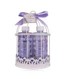 Accentra Lavender Women's Shower Gift Set | 4-Part Care Set in Stylish Wire Basket | Perfect for Birthdays Valentine's Day & Christmas - Buy Online on GoSupps.com