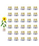 Eggone Flower Frog Mini Kenzan 23mm - 30 Pack - Buy Online on GoSupps.com