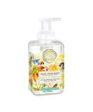 Michel Design Works Foaming Hand Soap  Birds & Butterflies - Buy Online on GoSupps.com