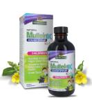 Nature's Answer Mullein-X Kids Cough Syrup 4oz | Soothes Coughs Clears Mucus & Supports Respiratory Health | Non-GMO Gluten-Free Natural Honey Flavor - Buy Online on GoSupps.com