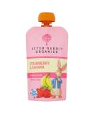 Peter Rabbit Organics Strawberry and Banana Pure Fruit Snack 4 Ounce(Pack of 10) - Buy Online on GoSupps.com