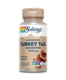 SOLARAY Fermented Turkey Tail Mushroom 500mg | 60 VegCaps - Buy Online on GoSupps.com
