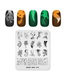 KADS Nail Art Stamping Plates Set Image Template Stencils Pattern with Stamping Plates Holder Case Organizer (ZO015) - Buy Online on GoSupps.com