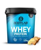 Bodylab24 Whey Protein Powder - Banana Bread Flavor 1kg | High-Quality Protein Supplement for Muscle Gain & Recovery - Buy Online on GoSupps.com