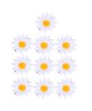 10pcs Daisy Hair Clips | Cute Small Hairpins & Braid Accessories for Women & Girls - Shop Now! - Buy Online on GoSupps.com