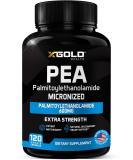 Palmitoylethanolamide Pea Supplement 600 mg | Micronized & Highly Purified | 120 Capsules | Made in USA | Optimal Bioavailability for Men & Women - Buy Online on GoSupps.com