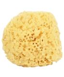 2X Large Soft Honeycomb Bath Sponges - Buy Online on GoSupps.com