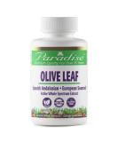 Paradise Herbs Olive Leaf - 120 Vegetarian Capsules for Immune Support & Antioxidants - Buy Online on GoSupps.com