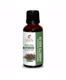 Ambrette Seed Oil 15 ML - 100% Pure Natural Therapeutic Grade Essential Oil | Uncut & Undiluted Abelmoschus Moschatus - Shop Now - Buy Online on GoSupps.com