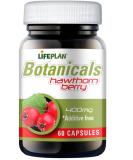 Lifeplan Hawthorn Berry 400mg Capsules - Natural Heart Health Support | 60 Caps - Buy Online on GoSupps.com