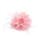 Baby Pink Flower Feather Bead Corsage Hair Clips Fascinator Set - Buy Online on GoSupps.com