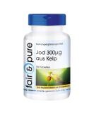 Fair & Pure Iodine 300mcg - Vegan Kelp Extract Natural High Dosage - 180 Tablets for Optimal Health - Buy Online on GoSupps.com
