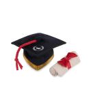 P.L.A.Y. PET LIFESTYLE AND YOU - Plush toy dog back to school collection - graduation hat & scroll/graduation hat & badge More Colorful Gepast - Buy Online on GoSupps.com