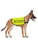 Shop 'In Training' Dog Vest - Don't Approach Ask Before Petting - EU Shipping Available - Buy Online on GoSupps.com
