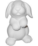 Paint Your Own Ceramic Rabbit Keepsake - Adorable DIY Bunny Craft Kit - Buy Online on GoSupps.com