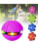 Shop Durable Flying Frisbee Balls & Saucer Toys for Dogs - Ultimate Pet Fun with Lights - Buy Online on GoSupps.com