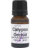 Calypso Orchid Fragrance Oil - 10ml Premium Aromatherapy Diffuser Oil by Eclectic Lady | Long Lasting & International Shipping - Buy Online on GoSupps.com