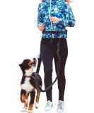 Hands Free Running Dog Lead - Retractable 7FT Long Training Leash for Medium Large Dogs - Reflective Nylon Tape - Ideal for Walking, Hiking, Jogging - Car Seat Belt Leash - Black - Buy Online on GoSupps.com