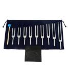 Dreld 9 Solfeggio Tuning Forks Kit Healing Forks with Silicone Hammer and Bag for DNA Repair Healing Sound Therapy Perfect Healing Musical Instrument Balancing Healers Vibration Silver - Buy Online on GoSupps.com