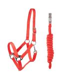 PFIFF 102931 Halter and Rope Set - Durable Plastic Halter & Lead Rope in Red Cob | International Shipping Available - Buy Online on GoSupps.com