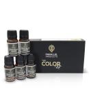Spot Color Henna Hair Dye Kit - Professional Tinting Palette for Grey Hair Cover & Root Touch Up - 3g Mini-Collection - 5 Count Pack - Buy Online on GoSupps.com