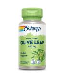 SOLARAY Olive Leaf Capsules 410mg | 100 Count - Natural Immune Support - Buy Online on GoSupps.com