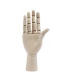 AUEAR 7 Inch Wooden Hand Mannequin for Drawing, Sculpting, and Display - Buy Online on GoSupps.com