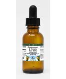 Glucomannan & Chicory Root Glycerite Liquid Extract - Chocolate Flavored (1 oz) | International Shipping Available - Buy Online on GoSupps.com