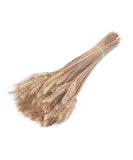 Dried Wheat Stems 100PCS Type 1 Dried Wheat Stalks Dried Wheat Sheaves Fake Dried Wheat Sheaves Stalks Bouquet Bundles Natural Wheat Stalks Bundle Dry Grass Bunch DIY Arrangements Primary - Buy Online on GoSupps.com