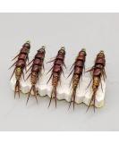 5 x Fly Fishing Hooks - Nymph Stonefly Bait for Trout Perch & Grayling | International Shipping Available - Buy Online on GoSupps.com