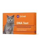 ORIVET Cat Breed DNA Test - 1 Pack | Comprehensive Genetic Health Screening & LifePlan | At Home Cheek Swab | Accurate & Fast Results - Buy Online on GoSupps.com