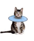 Cat Recovery Collar Adjustable Cat Neck Protective Cat Collar Waterproof Elizabethan E Collar for Cats Kittens Puppies after Surgery to Stop Licking Wounds (Blue) - Buy Online on GoSupps.com