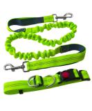 Aiqeer Green Hands Free Dog Leash Adjustable Waist Belt and Retractable Bungee Leash Jogging Dog Leash with Reflective Stitching (Grey Handle) - Buy Online on GoSupps.com
