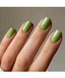 Justotry 24-Piece Sage Green Press On Nails - Glossy Angular Fake Nails for Women | Short French Square Design - Buy Online on GoSupps.com