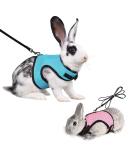 Soft Rabbit Dishes with Leash - Adjustable 2-Piece Mesh Kitten Pet Dishes for Comfortable Jogging - Buy Online on GoSupps.com